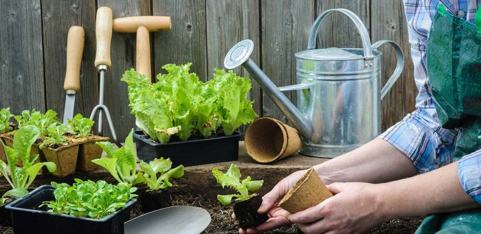 Jak efektywnie pielęgnować ogród wiosną? Nasz kalendarz prac ogrodniczych.